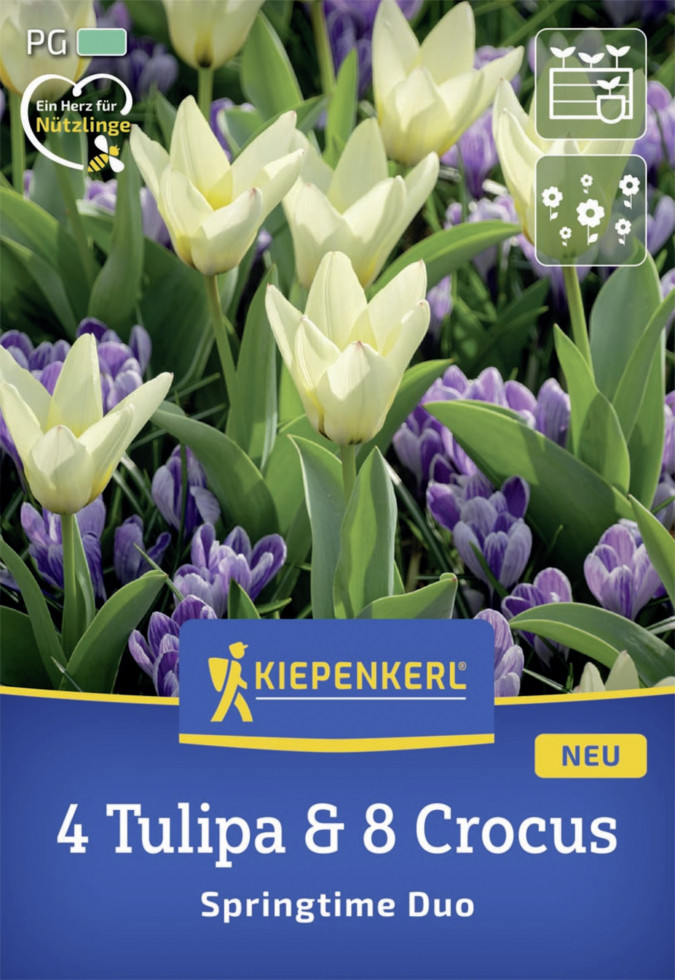 Kiepenkerl Herbstblumenzwiebelmischung Springtime Duo 12 Stück Kiepenkerl Herbstblumenzwiebelmischung Springtime Duo 12 Stück von Kiepenkerl