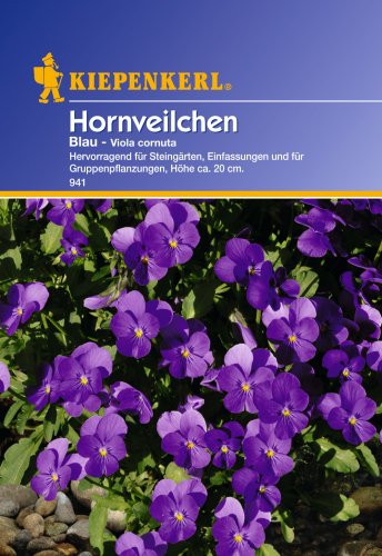 Sperli Blumensamen Hornveilchen, blau/grün von Sperli