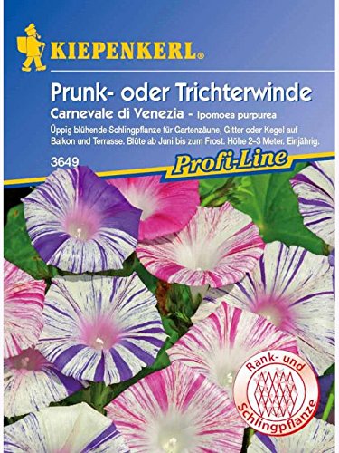 Ipomoea purpurea Prunkwinde Carneval di Venezia gestreifte Mischung von Kiepenkerl