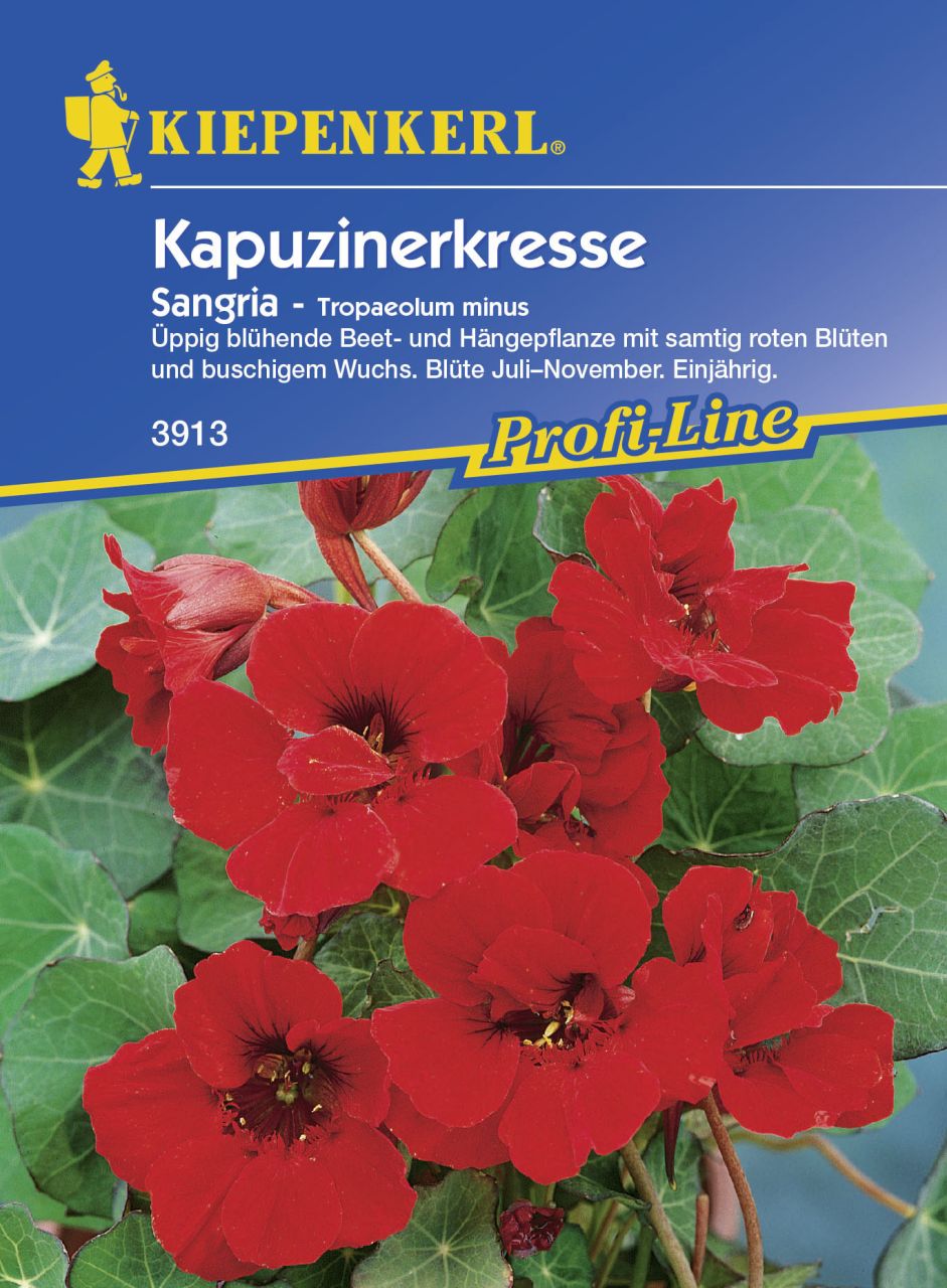 Kiepenkerl Kapuzinerkresse Sangria Tropaeolum minus, Inhalt: ca. 15 Pflanzen von Kiepenkerl