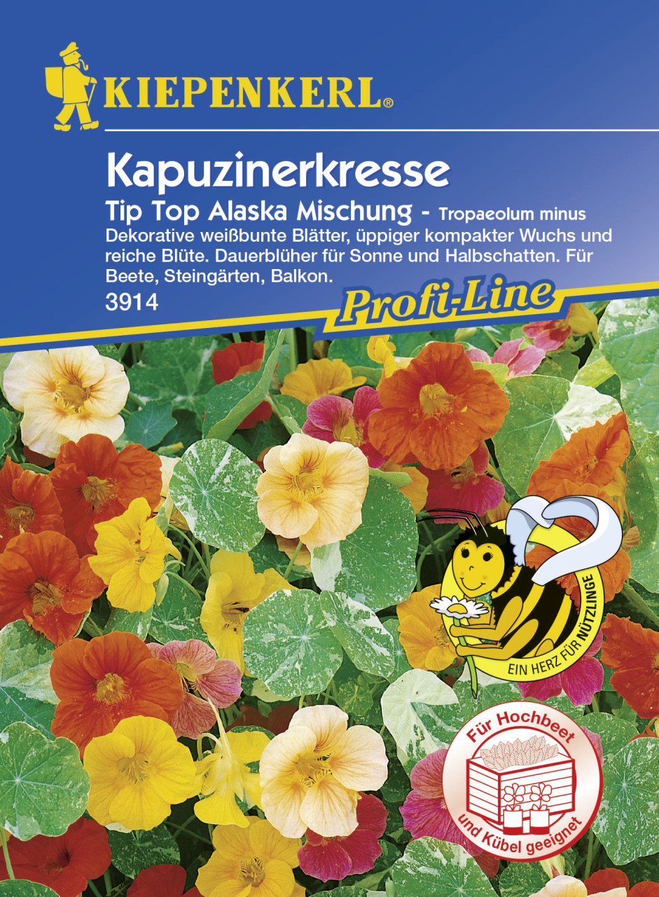 Kiepenkerl Kapuzinerkresse Tip-Top Alaska Tropaeolum minus, Inhalt: ca. 25 Pflanzen von Kiepenkerl