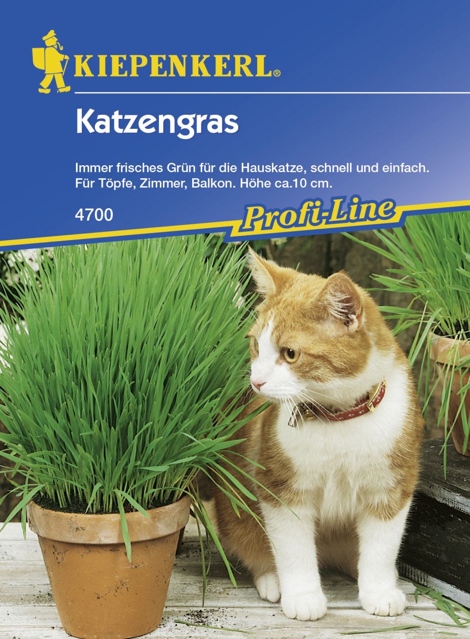 Kiepenkerl Katzengras - 10 Töpfe von Kiepenkerl