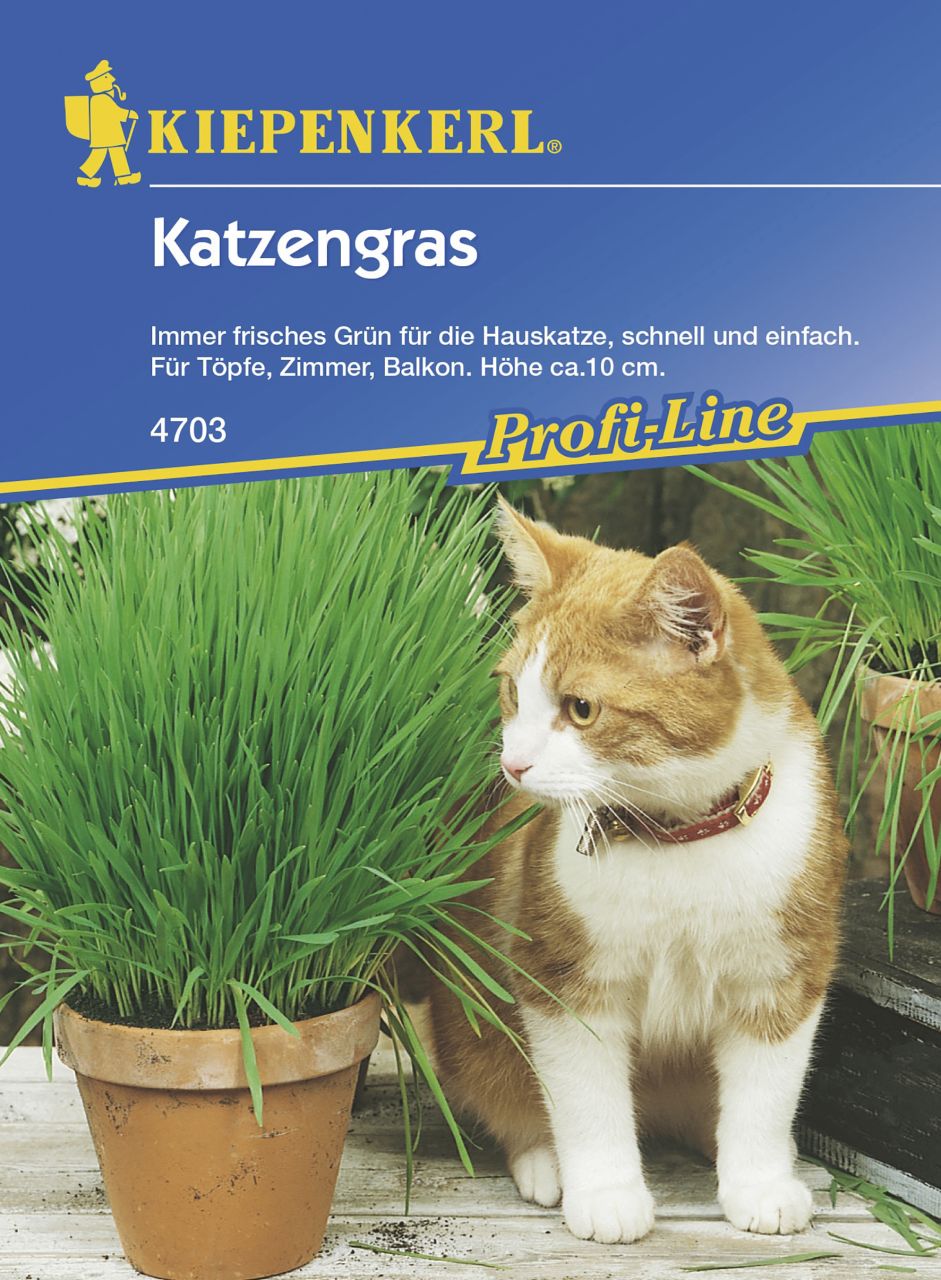 Kiepenkerl Katzengras Inhalt reicht für 10 Töpfe von Kiepenkerl