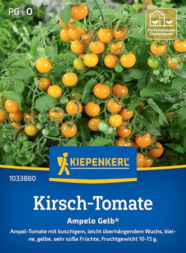 Kiepenkerl Kirsch-Tomatensamen Ampelo Gelb® 1033880 – Ampel- Tomate - buschig - gelbe Früchte - leichter Überhang- Samen Gemüse, Gemüsepflanzen, Saatgut von Kiepenkerl