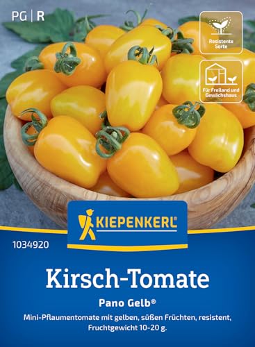 Kiepenkerl Kirsch-Tomatensamen Pano Gelb® 1034920 - mini Pflaumentomate - gelbe Früchte - süß - resistente Sorte - Saatgut, Samen Gemüse, Gemüsepflanzen von Kiepenkerl