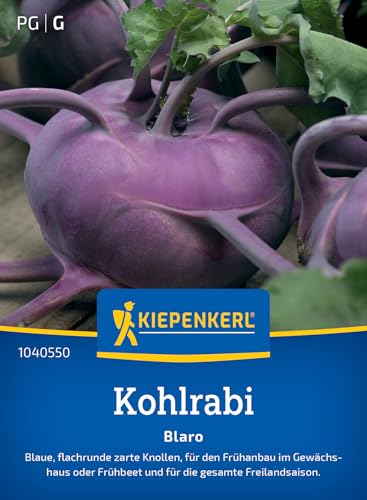 Kiepenkerl Kohlrabisamen Blaro 1040550 - Freilandsaison - Inhalt für 90 Pflanzen - Wuchshöhe 30-40 cm - Gemüsesamen, Samen Gemüse, Saatgut, Gemüsepflanzen Kiepenkerl Kohlrabisamen Blaro 1040550 - Freilandsaison - Inhalt für 90 Pflanzen - Wuchshöhe 30-40 cm - Gemüsesamen, Samen Gemüse, Saatgut, Gemüsepflanzen von Kiepenkerl