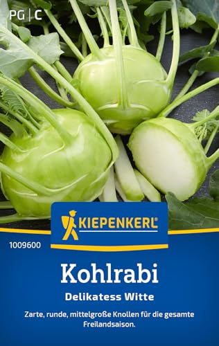 Kiepenkerl Kohlrabisamen Delikatess Witte 1009600 - Zarte Knollen - Inhalt für 150 Pflanzen - Gemüsesamen, Samen Gemüse, Saatgut, Gemüse Pflanzen Kiepenkerl Kohlrabisamen Delikatess Witte 1009600 - Zarte Knollen - Inhalt für 150 Pflanzen - Gemüsesamen, Samen Gemüse, Saatgut, Gemüse Pflanzen von Kiepenkerl