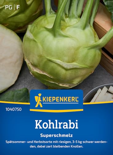 Kiepenkerl Kohlrabisamen Superschmelz 1040750 - riesige Früchte - zart bleibende Knollen - 3,5kg schwer - Samen Gemüse, Saatgut, Gemüsepflanzen Kiepenkerl Kohlrabisamen Superschmelz 1040750 - riesige Früchte - zart bleibende Knollen - 3,5kg schwer - Samen Gemüse, Saatgut, Gemüsepflanzen von Kiepenkerl