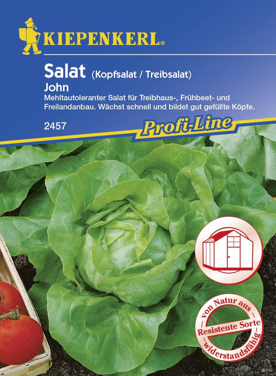 Kiepenkerl Kopfsalat John Lactuca sativa var. capitata, Inhalt: ca. 150 Pflanzen von Kiepenkerl