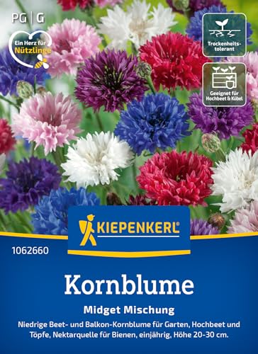 Kiepenkerl Kornblumensamen Midget Mischung 1062660 - Blumensamen für Garten, Hochbeet und Töpfe mit einer Wuchshöhe von 20 bis 30 cm - Pflanzen, Saatgut Kiepenkerl Kornblumensamen Midget Mischung 1062660 - Blumensamen für Garten, Hochbeet und Töpfe mit einer Wuchshöhe von 20 bis 30 cm - Pflanzen, Saatgut von Kiepenkerl