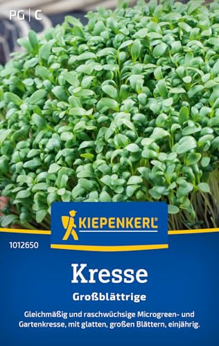 Kiepenkerl Kressesamen Großblättrige 1012650 - gleichmäßig - raschwüchsig - glatte & große Blätter - einjährig - Saatgut, Samen Gemüse, Gemüsepflanzen Kiepenkerl Kressesamen Großblättrige 1012650 - gleichmäßig - raschwüchsig - glatte & große Blätter - einjährig - Saatgut, Samen Gemüse, Gemüsepflanzen von Kiepenkerl