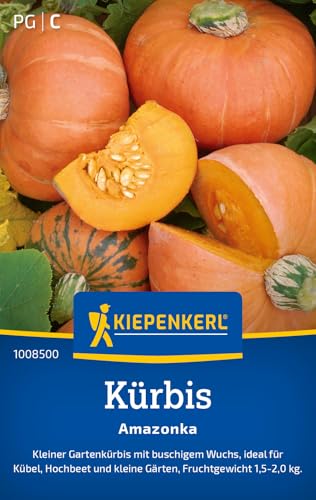 Kiepenkerl Kürbissamen Amazonka 1008500 – Kleiner Gartenkürbis - Fruchtgewicht 1,5-2,0 kg - Inhalt für 7 Pflanzen - Gemüsesamen, Samen Gemüse, Saatgut Kiepenkerl Kürbissamen Amazonka 1008500 – Kleiner Gartenkürbis - Fruchtgewicht 1,5-2,0 kg - Inhalt für 7 Pflanzen - Gemüsesamen, Samen Gemüse, Saatgut von Kiepenkerl