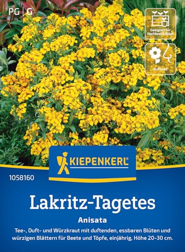 Kiepenkerl Lakritz-Tagetessamen Anisata 1058160 - Tee-, Duft- und Würzkraut mit duftenden, essbaren Blüten und würzigen Blättern- Pflanzen Samen, Saatgut, Kräutersamen Kiepenkerl Lakritz-Tagetessamen Anisata 1058160 - Tee-, Duft- und Würzkraut mit duftenden, essbaren Blüten und würzigen Blättern- Pflanzen Samen, Saatgut, Kräutersamen von Kiepenkerl