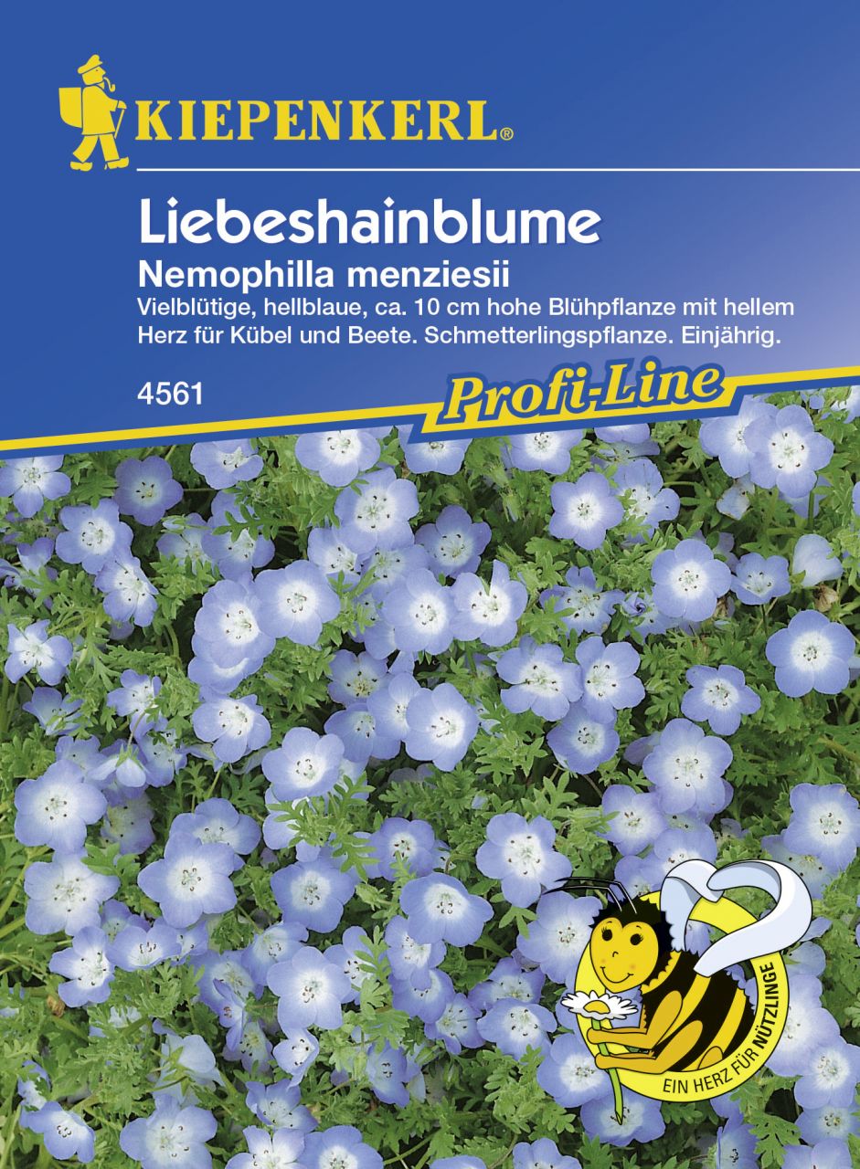 Kiepenkerl Liebeshainblume ca. 75 Pflanzen von Kiepenkerl