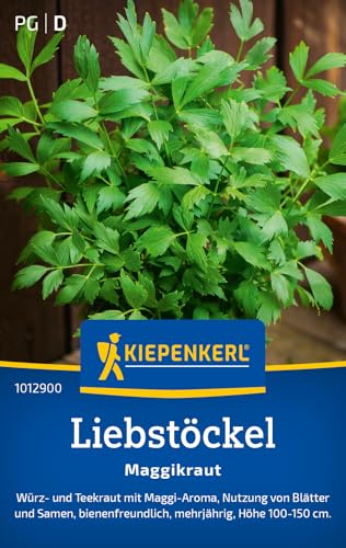 Kiepenkerl Liebstöckelsamen Maggikraut 1012900 - Würz- und Teekraut - Mehrjährig - Höhe 100-150 cm - Inhalt für 50 Pflanzen - Kräutersamen, Samen Kräuter Kiepenkerl Liebstöckelsamen Maggikraut 1012900 - Würz- und Teekraut - Mehrjährig - Höhe 100-150 cm - Inhalt für 50 Pflanzen - Kräutersamen, Samen Kräuter von Kiepenkerl