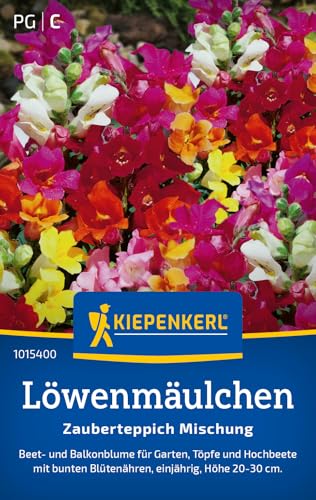 Kiepenkerl Löwenmäulchensamen Zauberteppich Mischung 1015400 - Einjährige Blumenmischung mit einer Wuchshöhe von 20 bis 30cm und Inhalt für 200 Pflanzen - Blumensamen, Saatgut Kiepenkerl Löwenmäulchensamen Zauberteppich Mischung 1015400 - Einjährige Blumenmischung mit einer Wuchshöhe von 20 bis 30cm und Inhalt für 200 Pflanzen - Blumensamen, Saatgut von Kiepenkerl
