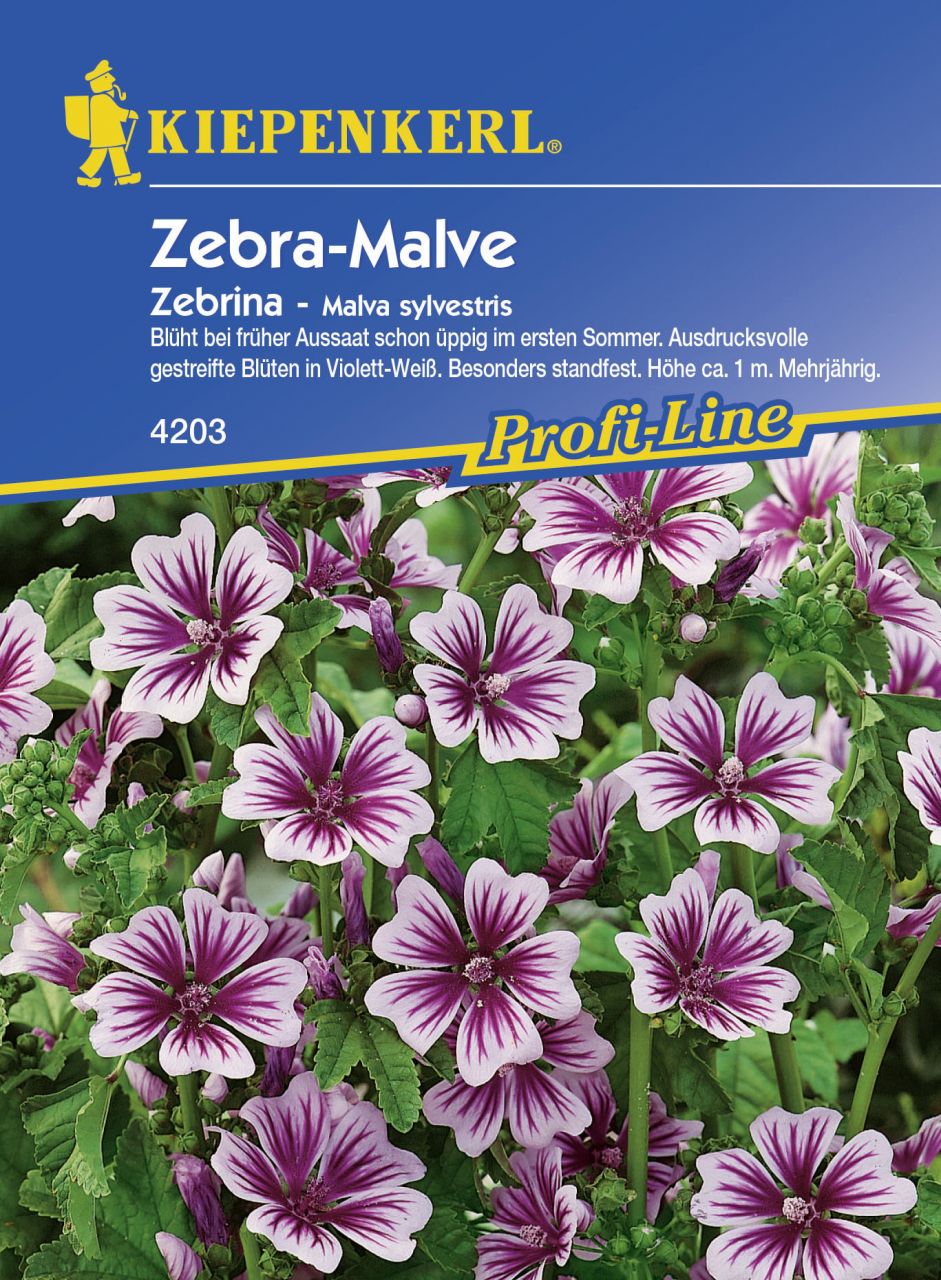 Kiepenkerl Malve Zebrina Malva sylvestris, Inhalt: ca. 50 Pflanzen von Kiepenkerl
