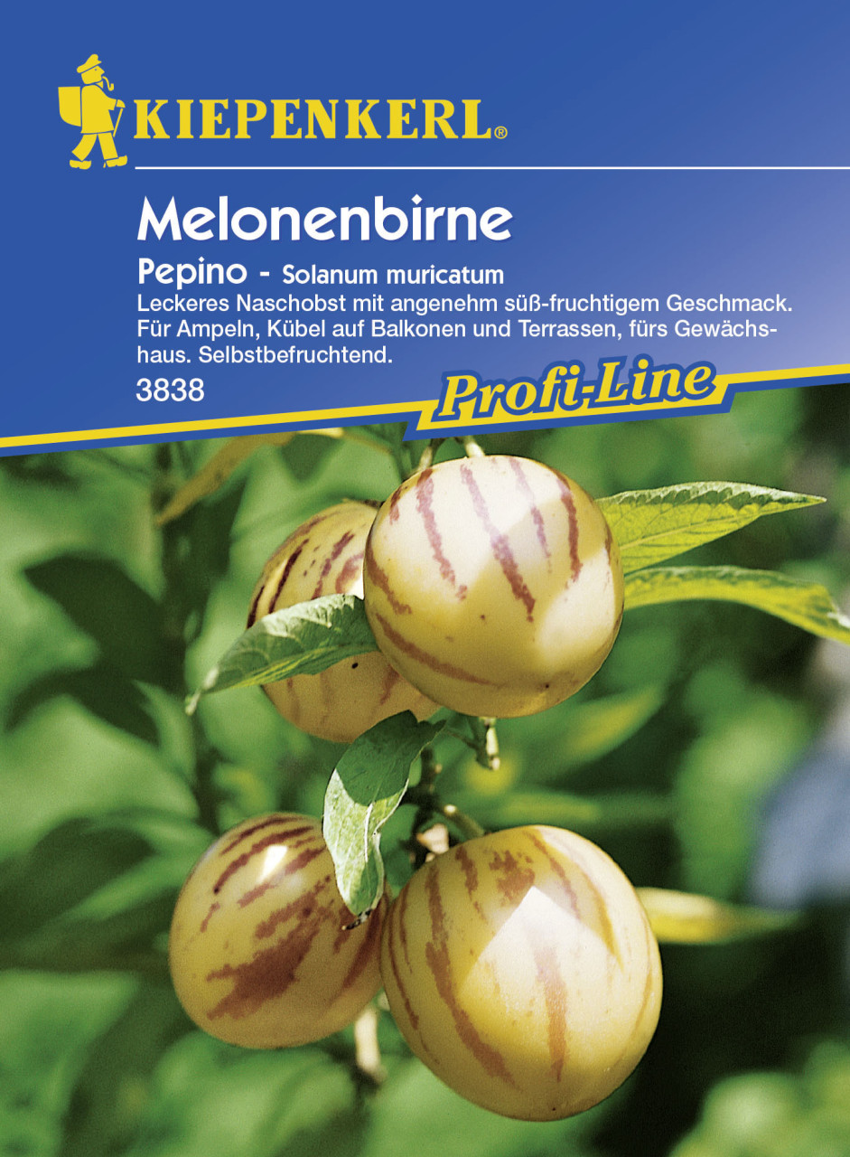 Kiepenkerl Melonenbirne Pepino Salvia splendens, Inhalt: 10 Korn von Kiepenkerl