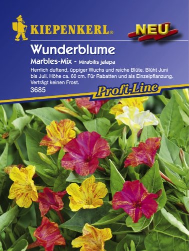 Sperli Blumensamen Wunderblume Marbles-Mix, grün von Sperli