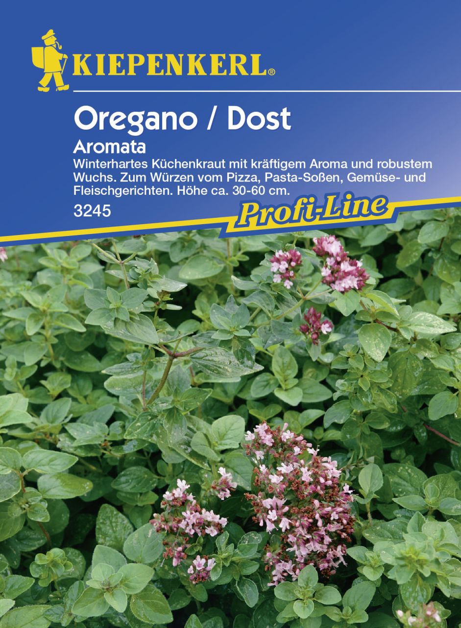 Kiepenkerl Oregano Dost Aromata Origanum vulgare subsp.vulgare, Inhalt: ca. 150 Pflanzen von Kiepenkerl