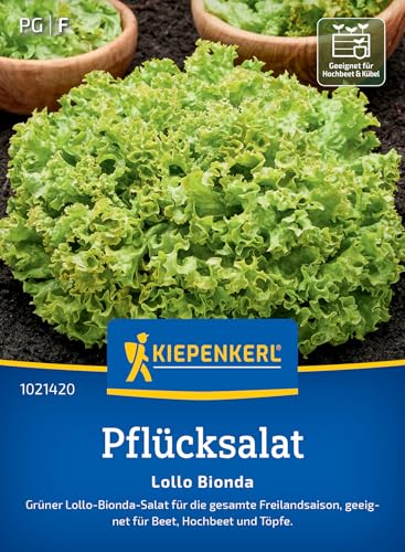 Kiepenkerl Pflücksalatsamen Lollo Bionda 1021420 - Schnellwüchsige, schossfeste Salatsamen für die Freilandsaison, gekrauste Blätter mit leicht nussigem Geschmack Kiepenkerl Pflücksalatsamen Lollo Bionda 1021420 - Schnellwüchsige, schossfeste Salatsamen für die Freilandsaison, gekrauste Blätter mit leicht nussigem Geschmack von Kiepenkerl