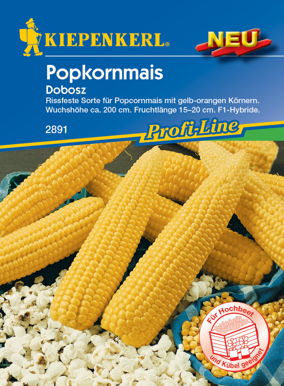Kiepenkerl Popkornmais Dobosz F1 Kiepenkerl Popkornmais Dobosz F1 von Kiepenkerl