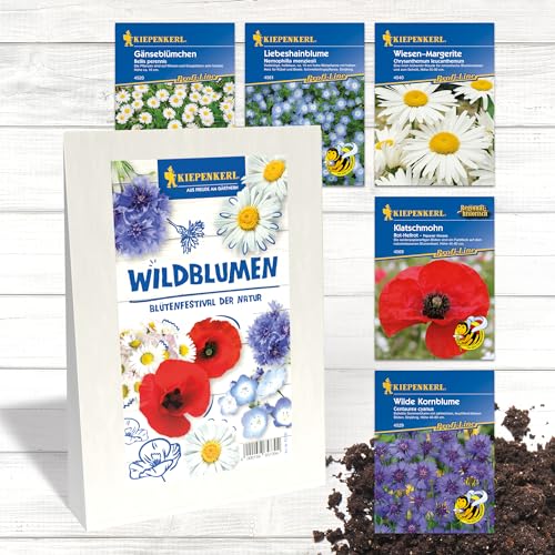 Kiepenkerl Profi-Line Blumensamen-Set Wildblumen 'Blütenfestival der Natur' - Hochwertige Sämereien-Sets für Farbenpracht im Garten von Kiepenkerl