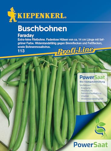 Kiepenkerl Profi-Line Buschbohnensamen Faraday, Powersaat - Filetbohnen Sorte, ertragreiche Gemüsesamen mit 14 cm langen Hülsen - Gartensamen einjährig - Saatgut für 20 Pflanzen Kiepenkerl Profi-Line Buschbohnensamen Faraday, Powersaat - Filetbohnen Sorte, ertragreiche Gemüsesamen mit 14 cm langen Hülsen - Gartensamen einjährig - Saatgut für 20 Pflanzen von Kiepenkerl