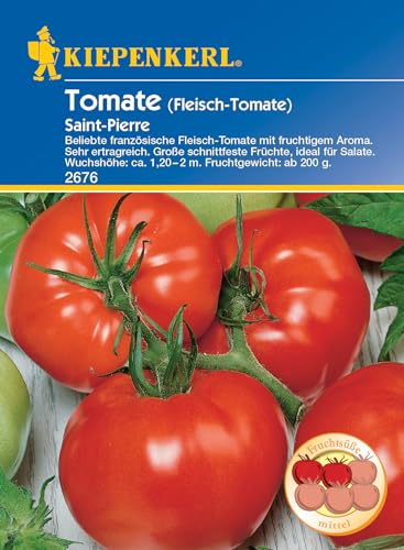 Kiepenkerl Profi-Line Fleischtomatensamen Saint Pierre - Saftige Tomatensamen für Aromatische Fleischtomaten, Robuste Gemüsesamen für Garten und Balkon, Ideal für Samen- & Gemüse-Liebhaber von Kiepenkerl