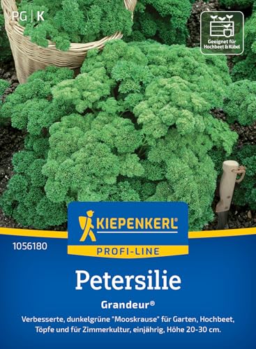 Kiepenkerl Profi-Line Petersiliensamen Grandeur® 1056180 - verbesserte, dunkelgrüne "Mooskrause" für Garten und Töpfe - Pflanzen Samen, Saatgut, Kräutersamen von Kiepenkerl