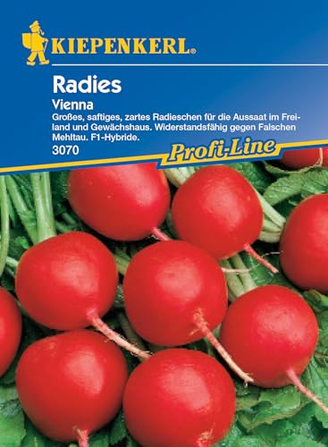 Kiepenkerl Profi-Line Radieschensamen Vienna, F1 3070 - Widerstandsfähig - Inhalt für 10 lfd. Meter - Gemüsesamen, Samen Gemüse, Gemüsepflanzen, Saatgut Kiepenkerl Profi-Line Radieschensamen Vienna, F1 3070 - Widerstandsfähig - Inhalt für 10 lfd. Meter - Gemüsesamen, Samen Gemüse, Gemüsepflanzen, Saatgut von Kiepenkerl