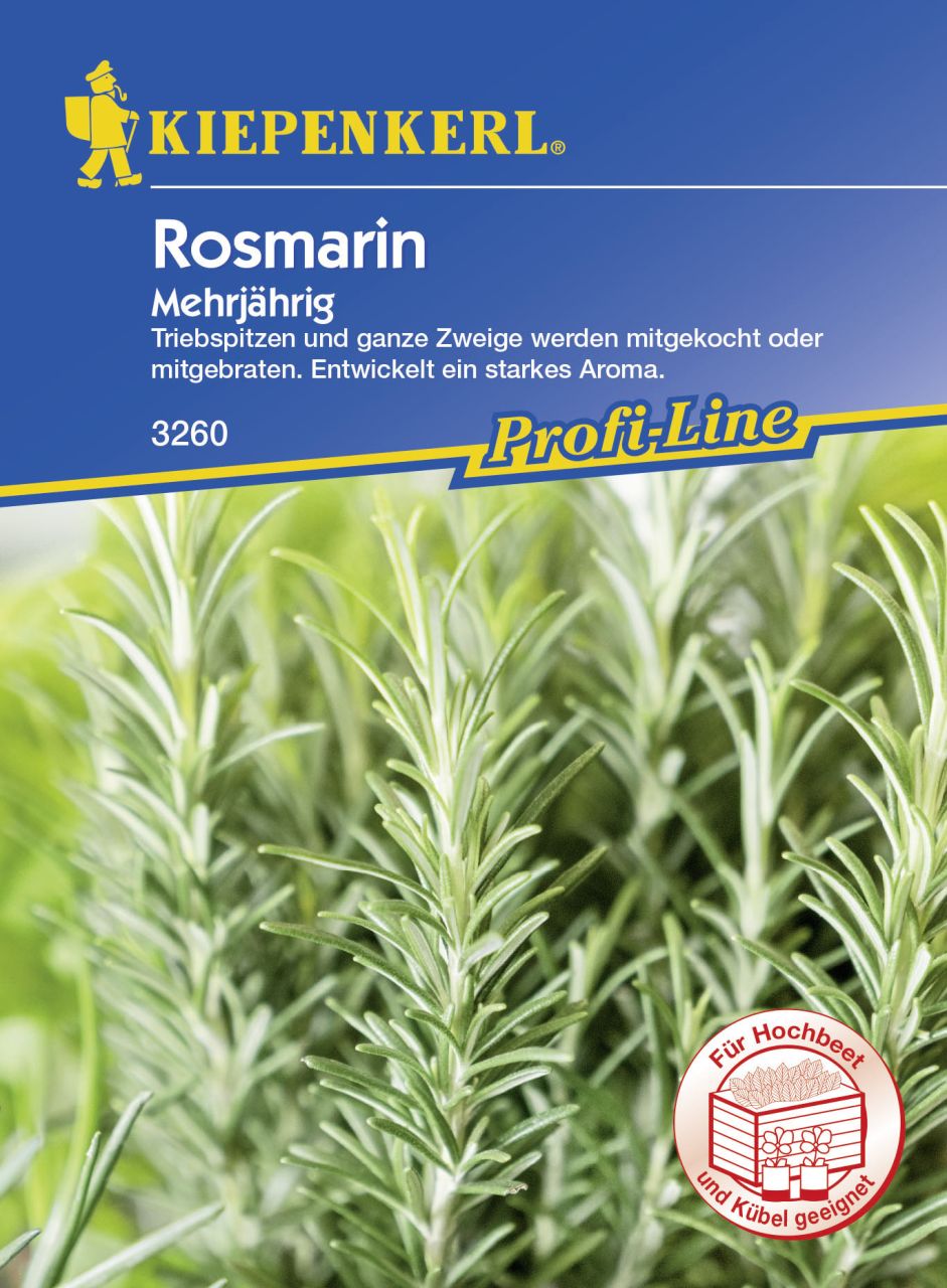 Kiepenkerl Profi-Line Rosmarin Rosmarinus officinalis, Inhalt: ca. 50 Pflanzen von Kiepenkerl