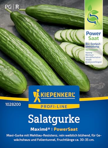 Kiepenkerl Profi-Line Salatgurkensamen Maximé® 1028200 - Gemüsesamen für eine rein weibliche resistente Gurke mit einem Inhalt für 5 Pflanzen - Saatgut von Kiepenkerl
