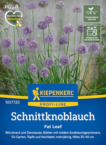 Kiepenkerl Profi-Line Schnittknoblauchsamen Fat Leaf 1057720 – Würzkraut- und Zierstaude mit Knoblauchgeschmack - Pflanzen Samen, Saatgut, Kräutersamen von Kiepenkerl