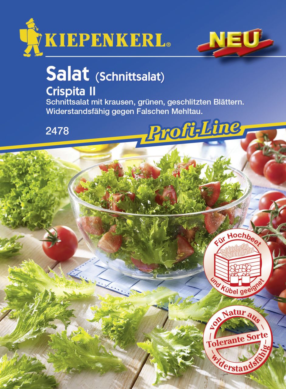 Kiepenkerl Profi-Line Schnittsalat Crispita II Lactuca sativa var.crispa, Inhalt: ca. 200 Pflanzen von Kiepenkerl