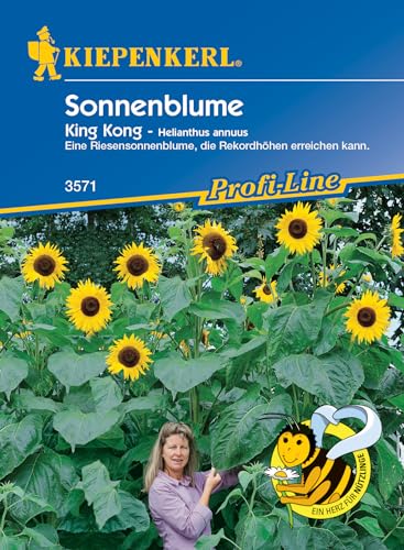 Kiepenkerl Profi-Line Sonnenblumensamen King Kong - Nahrungsquelle für Nützlinge, Riesensonnenblumen bis 4,5m Wuchshöhe von Kiepenkerl