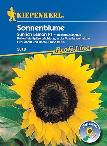Kiepenkerl Profi-Line Sonnenblumensamen Sunrich Lemon, F1 3610 - Pollenfreie Spitzenzüchtung für Schnitt und Beete, Wuchshöhe 1,70m, Blumensamen Mischung für 25 Pflanzen Kiepenkerl Profi-Line Sonnenblumensamen Sunrich Lemon, F1 3610 - Pollenfreie Spitzenzüchtung für Schnitt und Beete, Wuchshöhe 1,70m, Blumensamen Mischung für 25 Pflanzen von Kiepenkerl