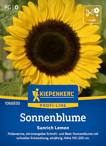 Kiepenkerl Profi-Line Sonnenblumensamen Sunrich Lemon 1066930 - Pollenarme, zitronengelbe Blüten für Beete & Schnittblumen - Wildblumensamen, Blumenwiese Kiepenkerl Profi-Line Sonnenblumensamen Sunrich Lemon 1066930 - Pollenarme, zitronengelbe Blüten für Beete & Schnittblumen - Wildblumensamen, Blumenwiese von Kiepenkerl