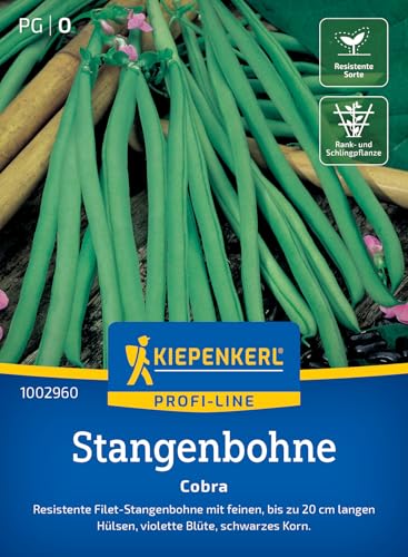 Kiepenkerl Profi-Line Stangenbohnensamen Cobra 1002960 – Gemüsesamen für resistente Filet- Stangenbohne mit bis zu 20cm langen Hülsen - Gemüse Pflanzen, Saatgut von Kiepenkerl
