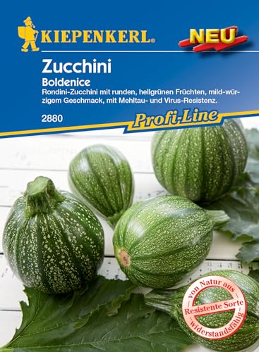 Kiepenkerl Profi-Line Zucchinisamen Boldenice, F1 - Hochwertige Gemüsesamen, Resistente & Schnellreifende F1-Hybride, Rondini-Zucchini mit Mehltau-Resistenz, für Profi-Line Gemüsegarten von Kiepenkerl