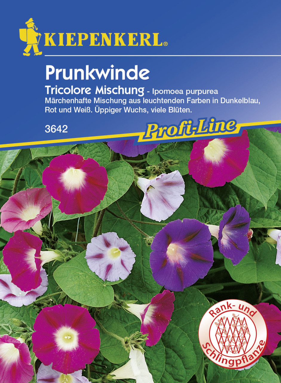 Kiepenkerl Prunk. Trichterwinde Tricolor Ipomoea tricolor, Inhalt: ca. 20 Pflanzen von Kiepenkerl