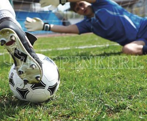 Kiepenkerl RSM 3.2 Profi Sportrasen | 10kg ohne Poa pratensis von Kiepenkerl