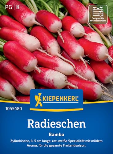 Kiepenkerl Radieschensamen Bamba 1045480 - Mildes Aroma & Knackigkeit, Radieschen-Gemüsesamen für Topf & Hochbeet, robuste Sorte für Salate und Rezepte Kiepenkerl Radieschensamen Bamba 1045480 - Mildes Aroma & Knackigkeit, Radieschen-Gemüsesamen für Topf & Hochbeet, robuste Sorte für Salate und Rezepte von Kiepenkerl