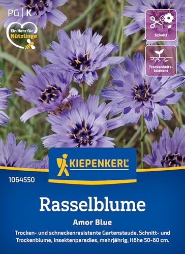 Kiepenkerl Rasselblumensamen Amor Blue 1064550 - mehrjährige Trocken- und schneckenresistente Schnitt- und Trockenblume - Pflanzen, Blumensamen, Saatgut Kiepenkerl Rasselblumensamen Amor Blue 1064550 - mehrjährige Trocken- und schneckenresistente Schnitt- und Trockenblume - Pflanzen, Blumensamen, Saatgut von Kiepenkerl