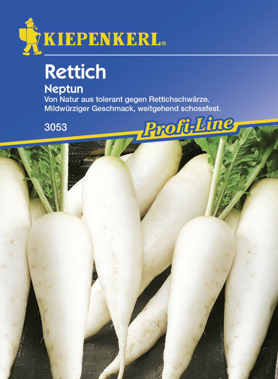 Kiepenkerl Rettich Neptun Raphanus sativus var. longipinnatus, Inhalt: ca. 100 Pflanzen von Kiepenkerl