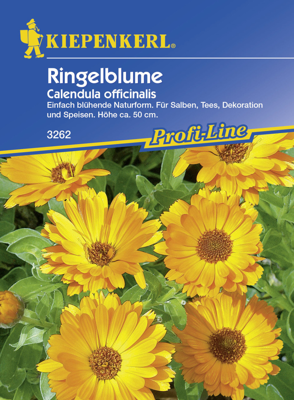 Kiepenkerl Ringelblume Calendula officinalis, Inhalt: ca. 100 Pflanzen von Kiepenkerl