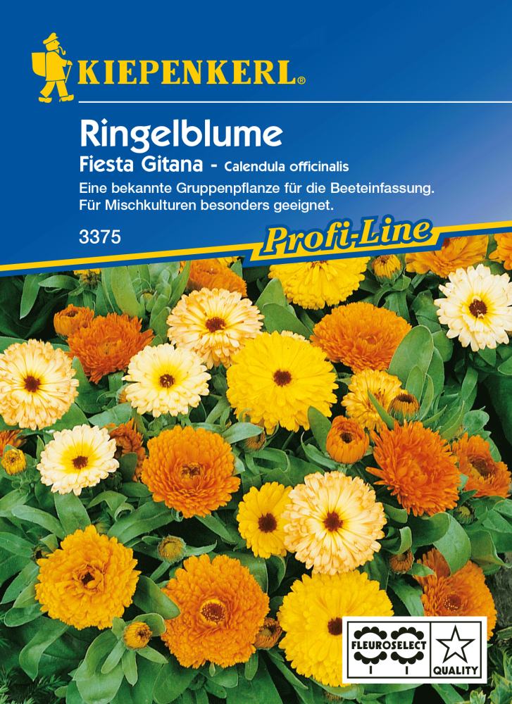 Kiepenkerl Ringelblume Fiesta Gitana Calendula officinalis, Inhalt: ca. 60 Pflanzen von Kiepenkerl