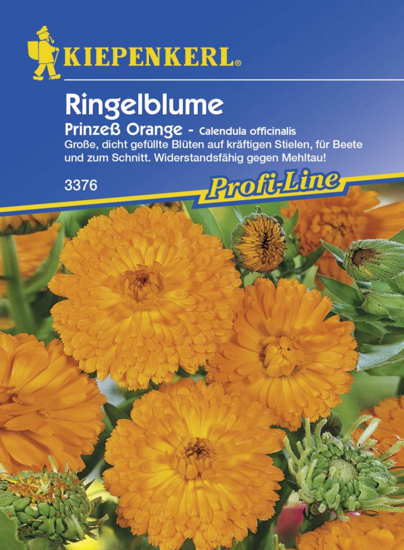 Kiepenkerl Ringelblume Prinzeß Orange Calendula officinalis, Inhalt: ca. 80 Pflanzen Kiepenkerl Ringelblume Prinzeß Orange Calendula officinalis, Inhalt: ca. 80 Pflanzen von Kiepenkerl