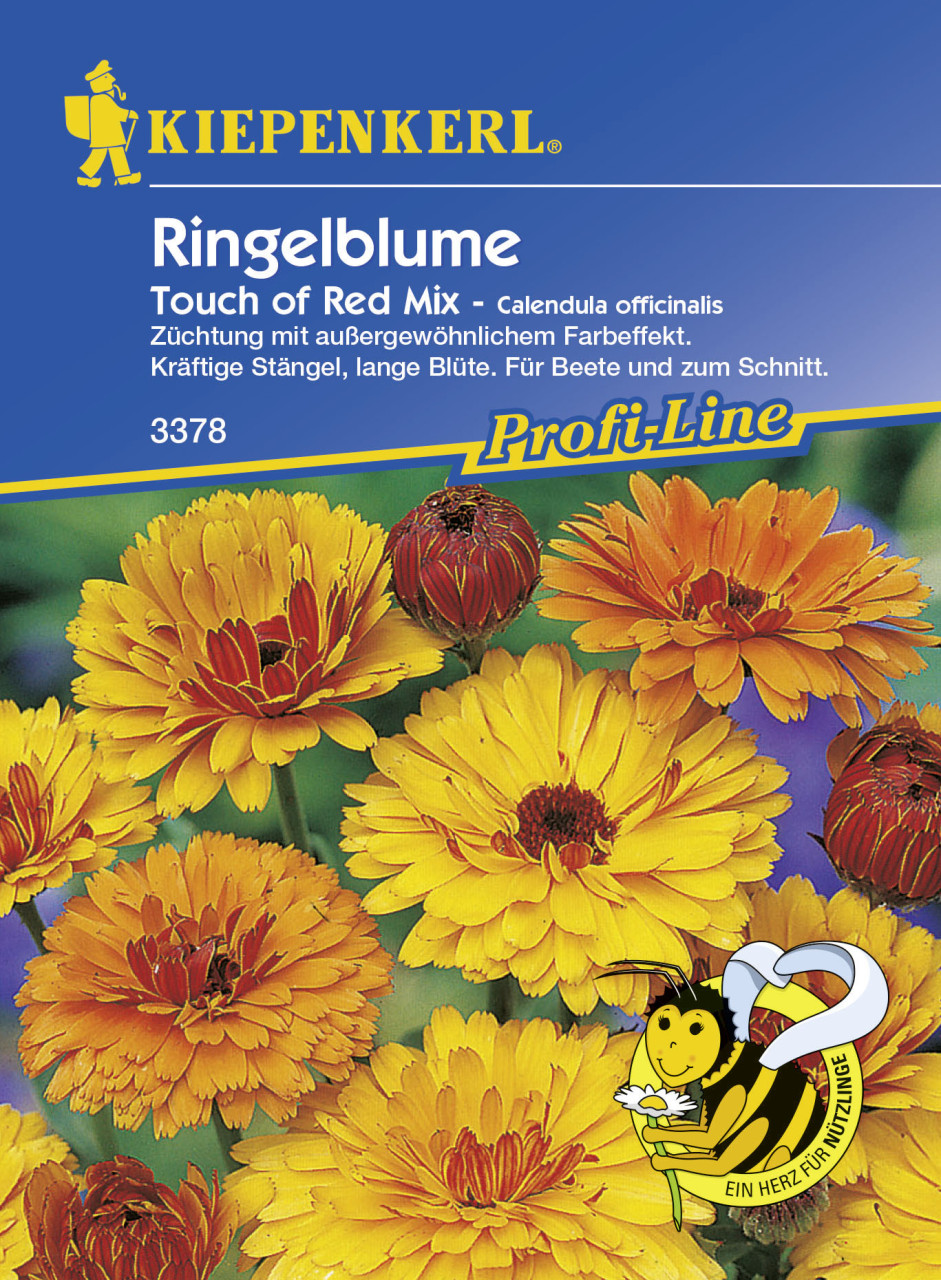 Kiepenkerl Ringelblume Touch Of Red Calendula officinalis, Inhalt: ca. 80 Pflanzen von Kiepenkerl