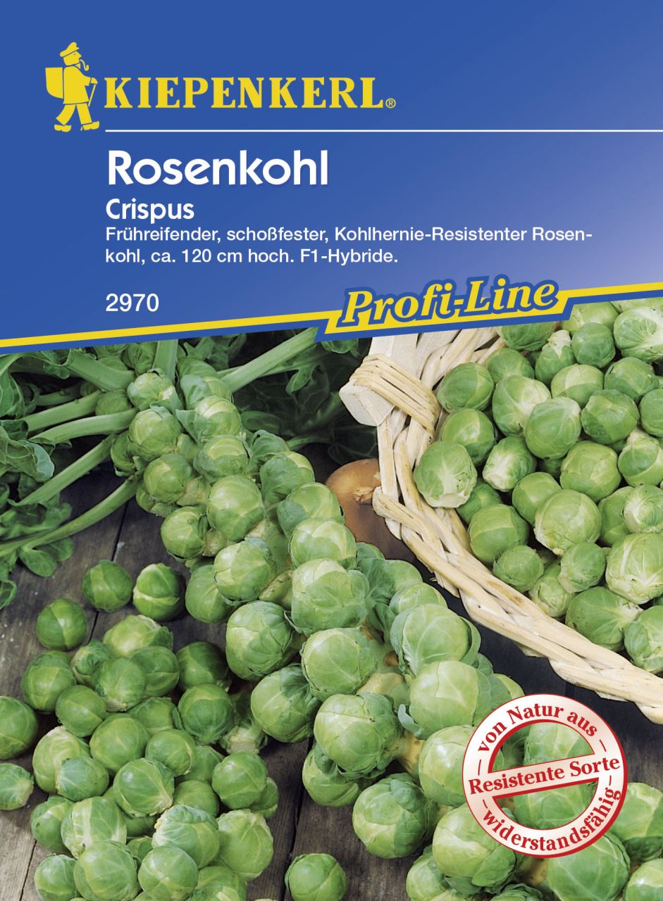 Kiepenkerl Rosenkohl Crispus Brassica oleracea, Inhalt: ca. 10 Pflanzen von Kiepenkerl